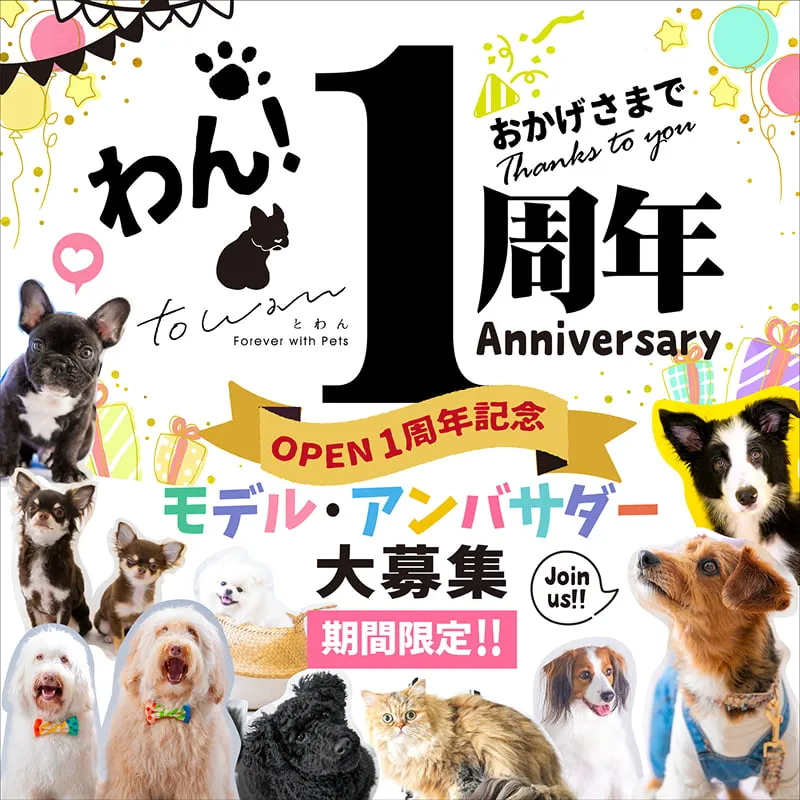 OPEN1周年記念キャンペーン